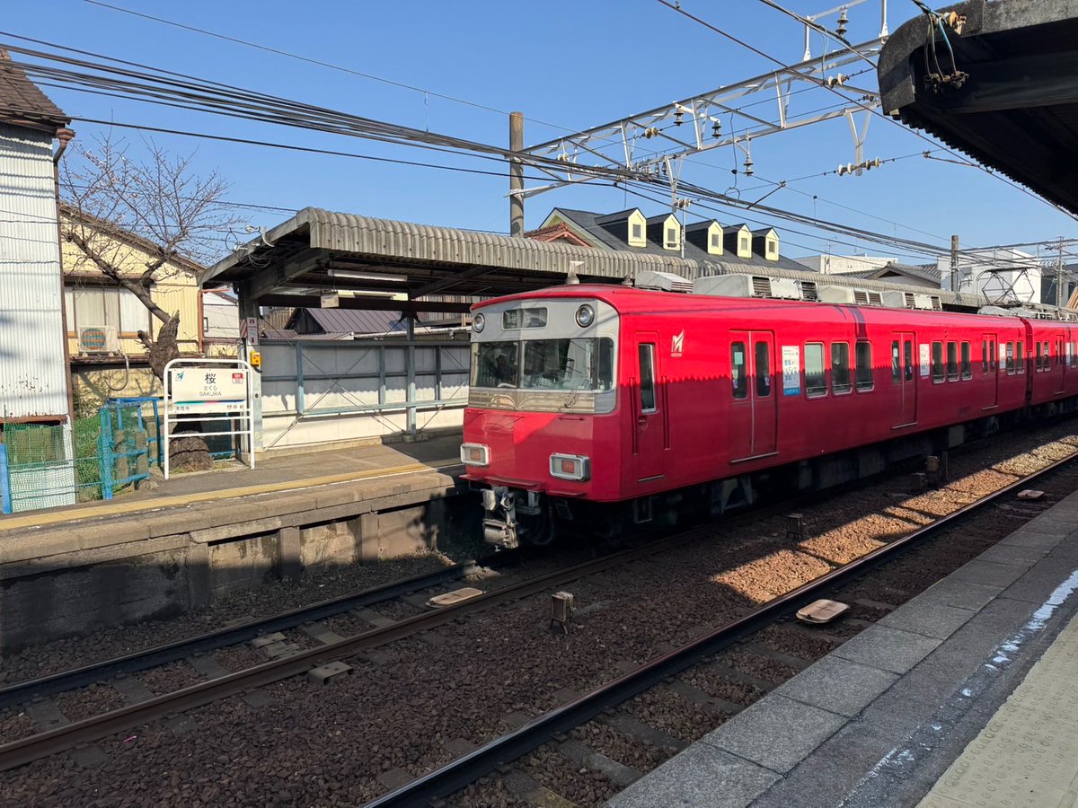 🍏🌸 こはぅ 🌸🍎 tweet media