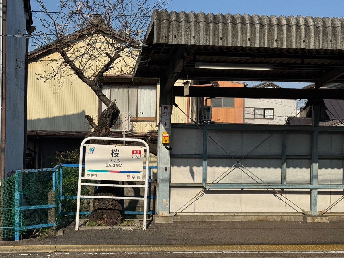 🍏🌸 こはぅ 🌸🍎 tweet media