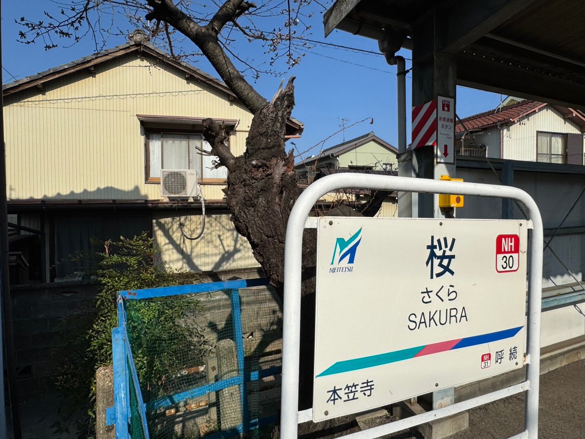 🍏🌸 こはぅ 🌸🍎 tweet media