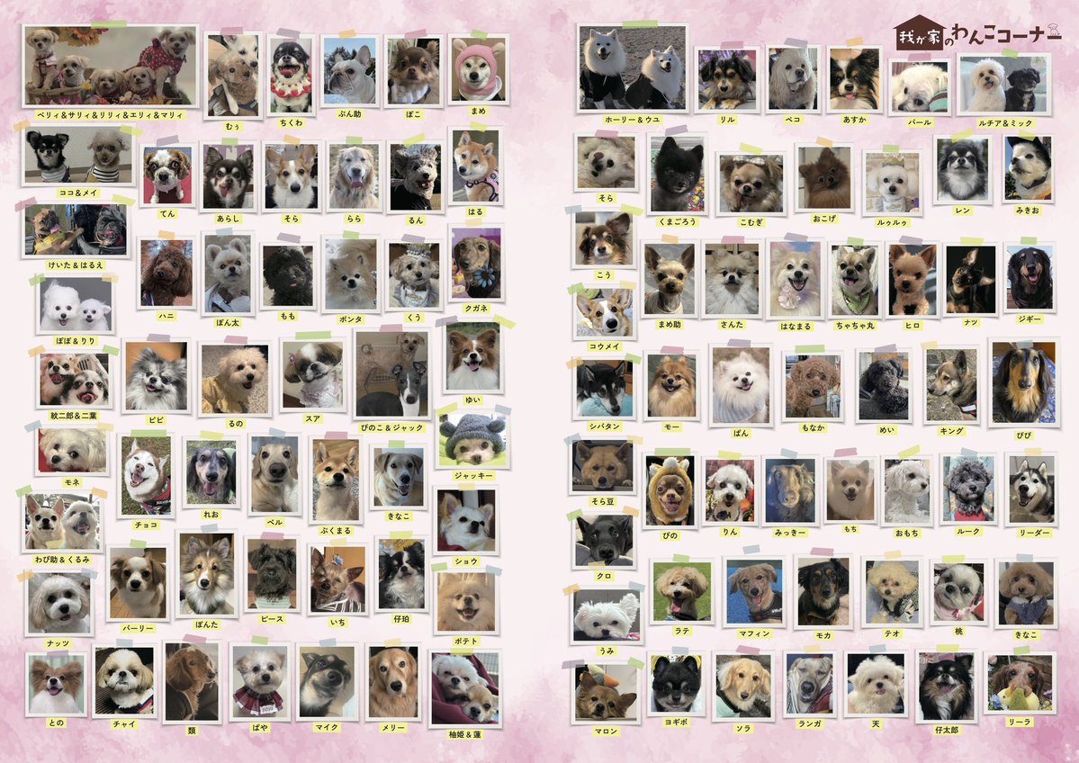 月刊わんこ編集部 tweet media