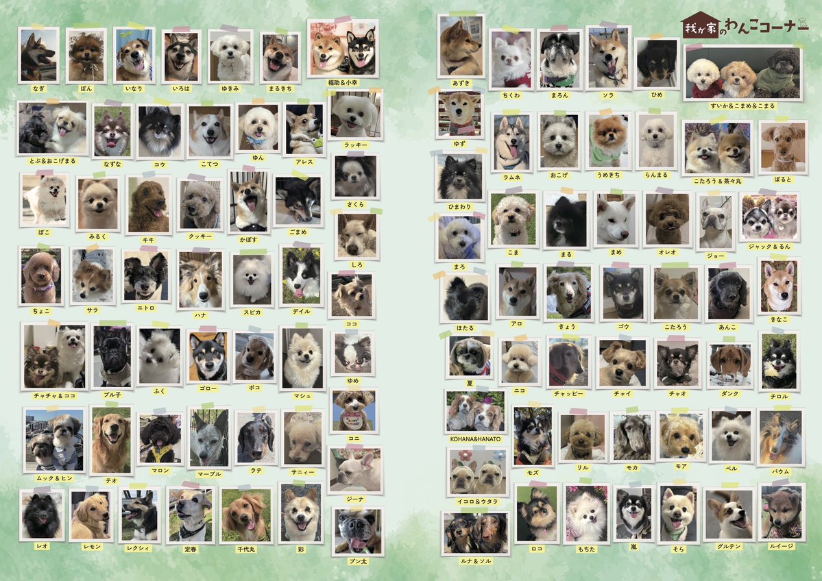 月刊わんこ編集部 tweet media