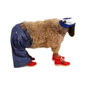 Jase Whelan tweet media