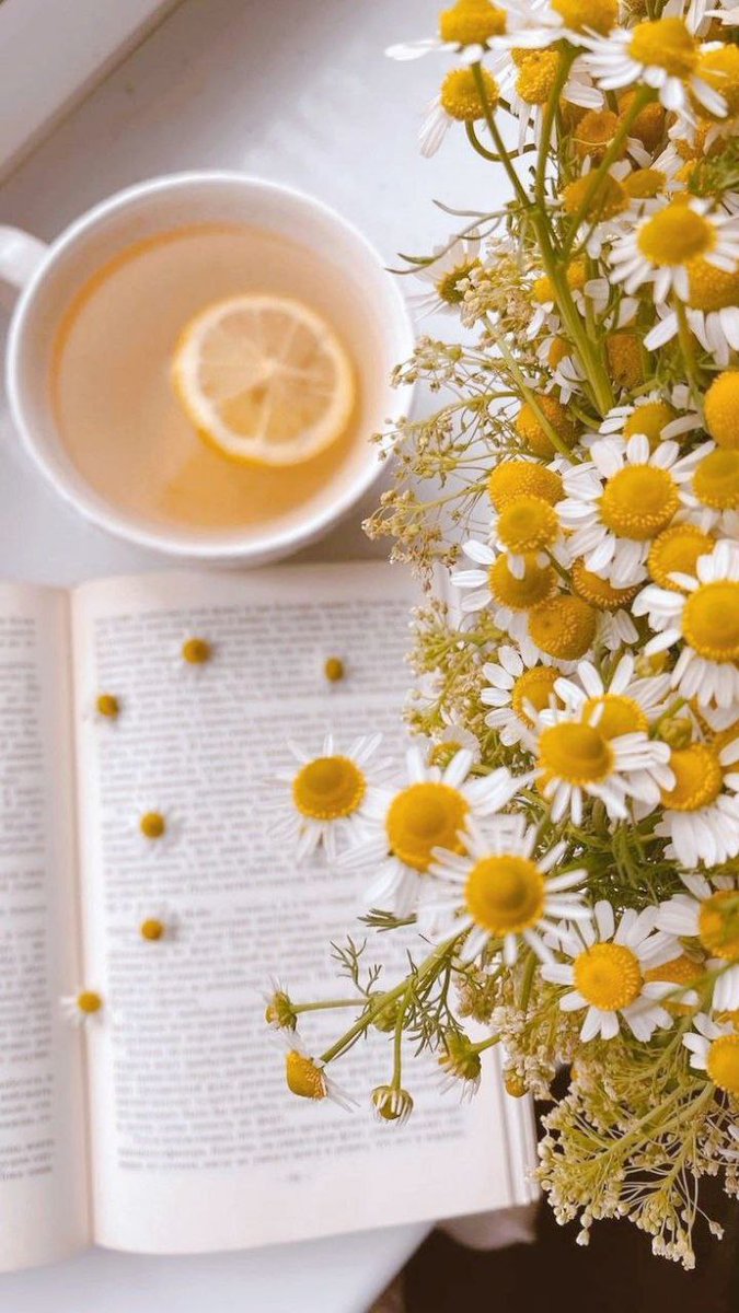 🎀🌷Кофейное Зёрнышко🌷🎁🌸 tweet media