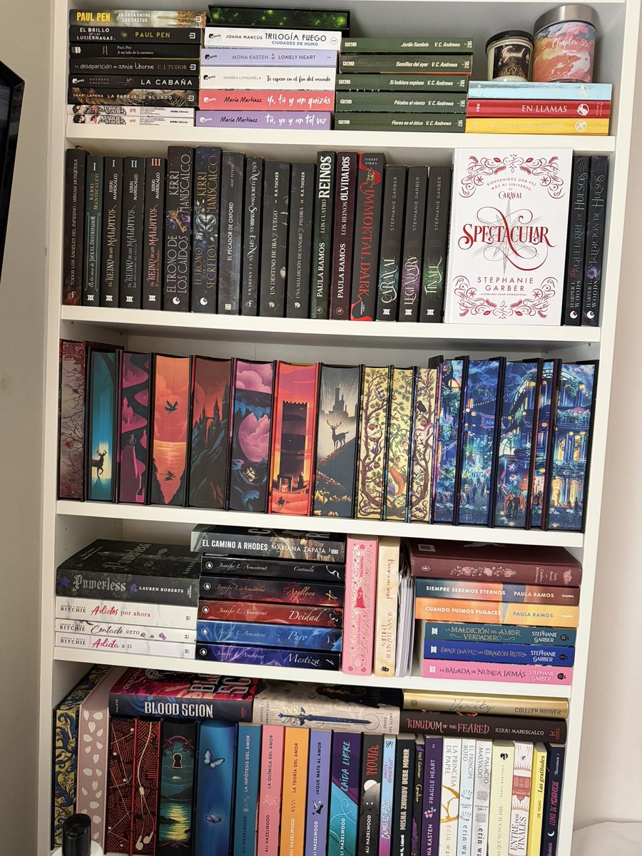 𓆩 Clau 𓆪 tweet media