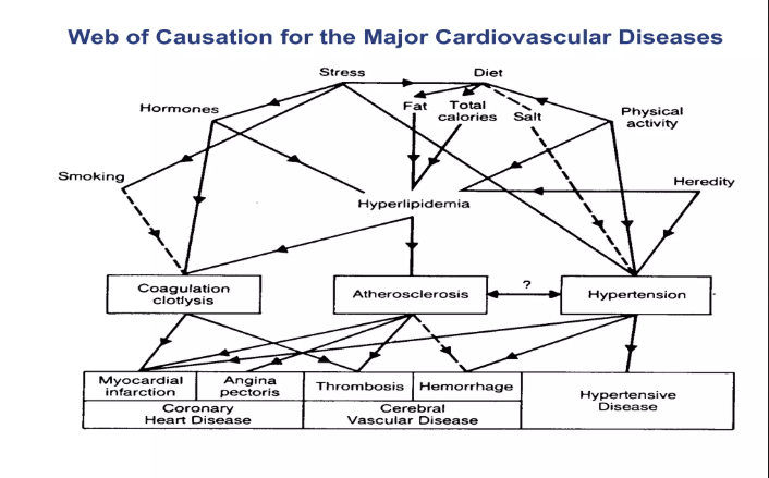 dev & design | comsci grad | lf client tweet media
