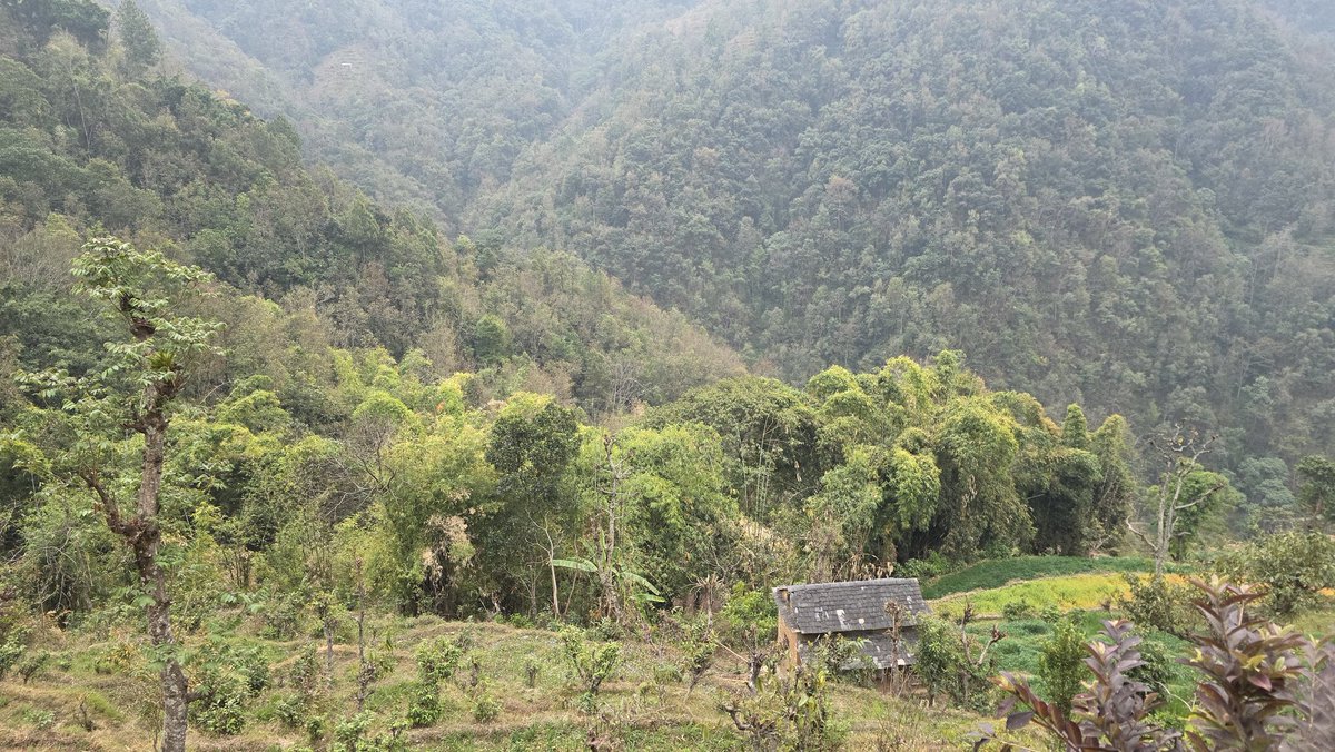 मान्ठा tweet media