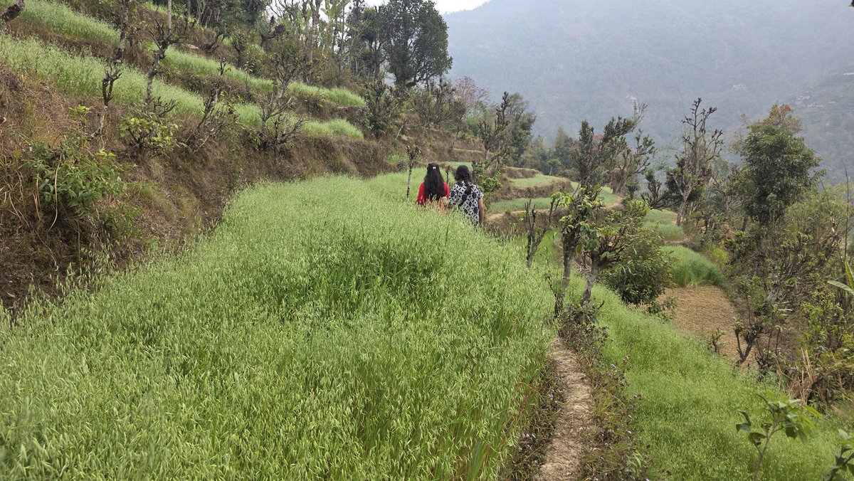 मान्ठा tweet media