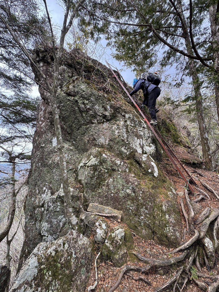 mogeringo's tweet photo. 東海百名山の明神山へ！
愛知県の右上らへんの山奥です。
三ツ瀬コースから登りましたが、鎖場やハシゴなどドキドキハラハラのコースでした🙌 https://t.co/8rl5TtzXcb