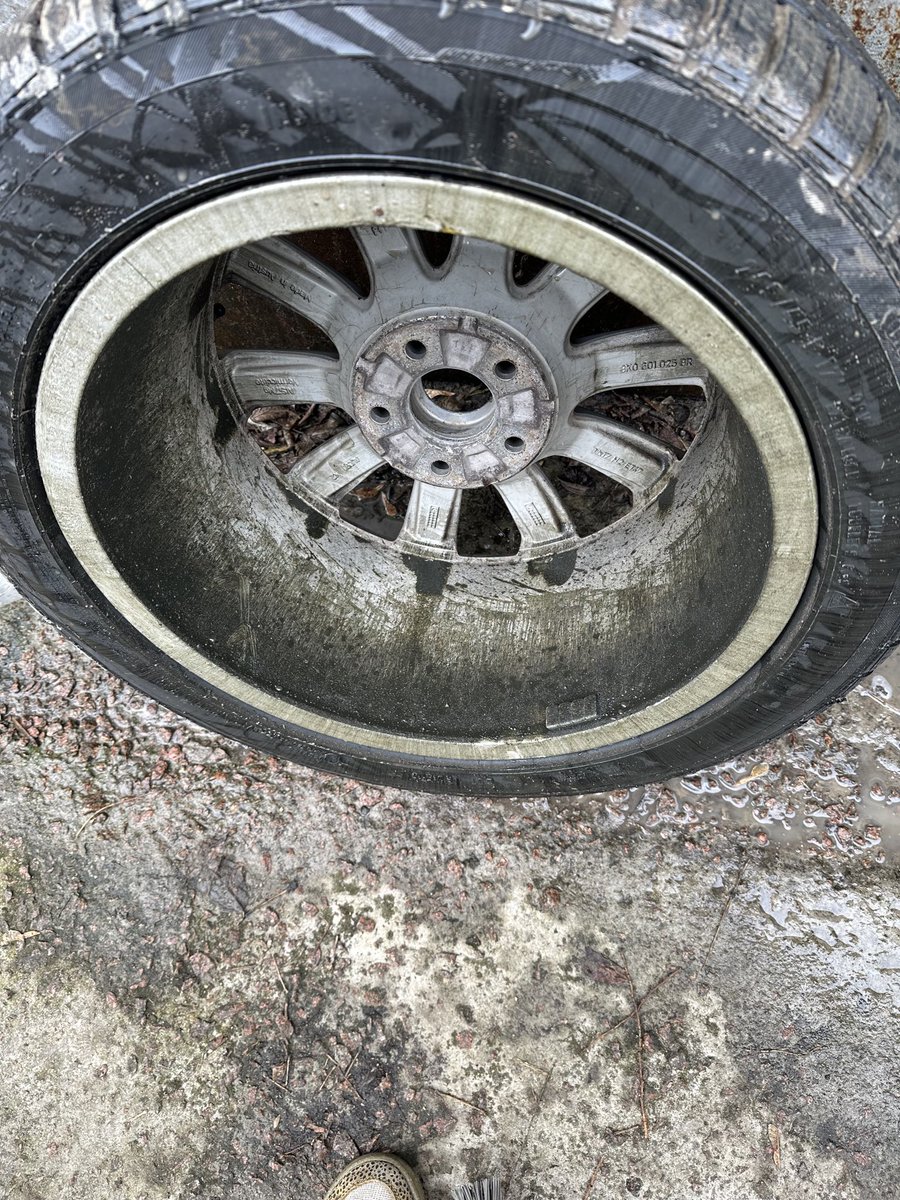 Зубожілий вагодрочер tweet media