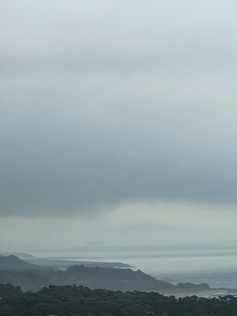 Andrew Brindle tweet media