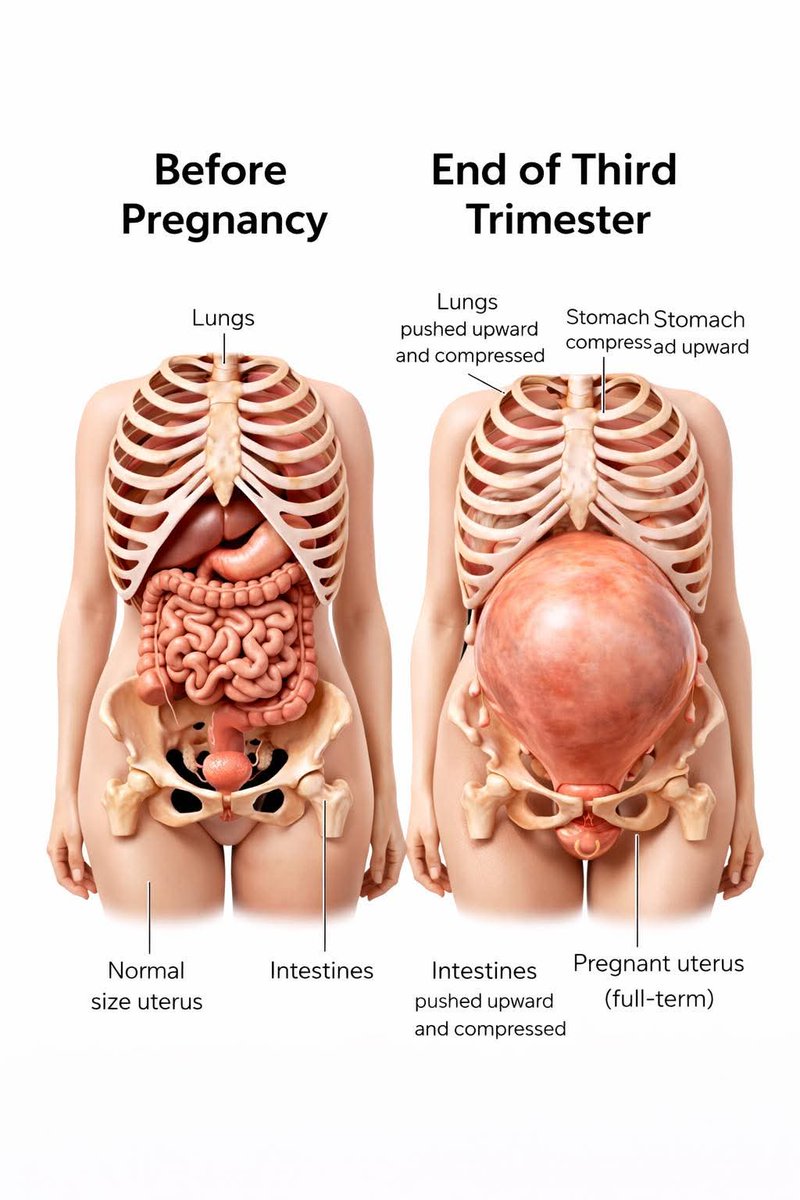 Bio-medical Science ✍️ tweet media