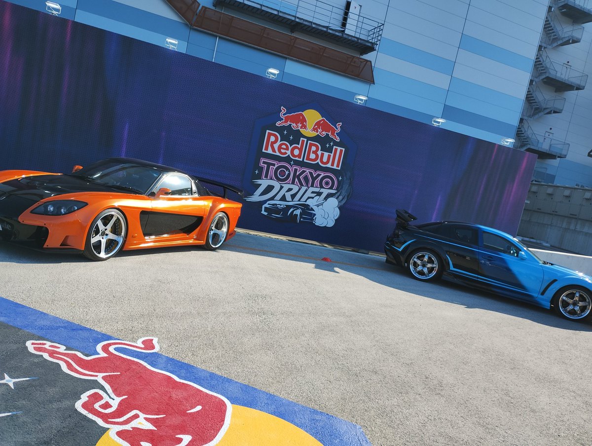 クーガー tweet media