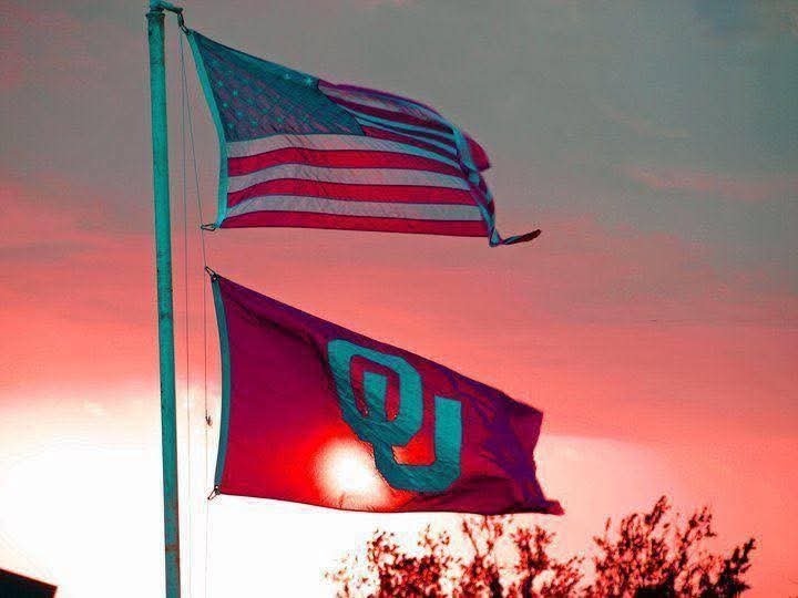 Gigi Tesarkee tweet media