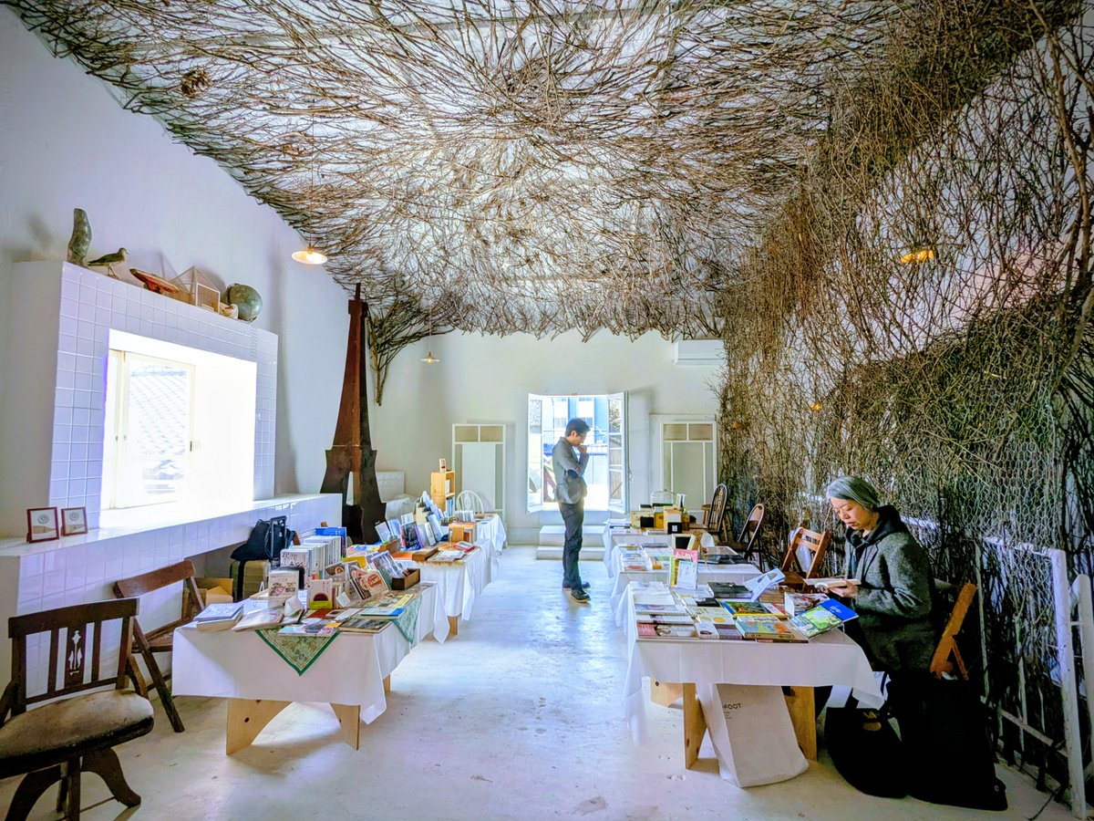 ウイレコ tweet media