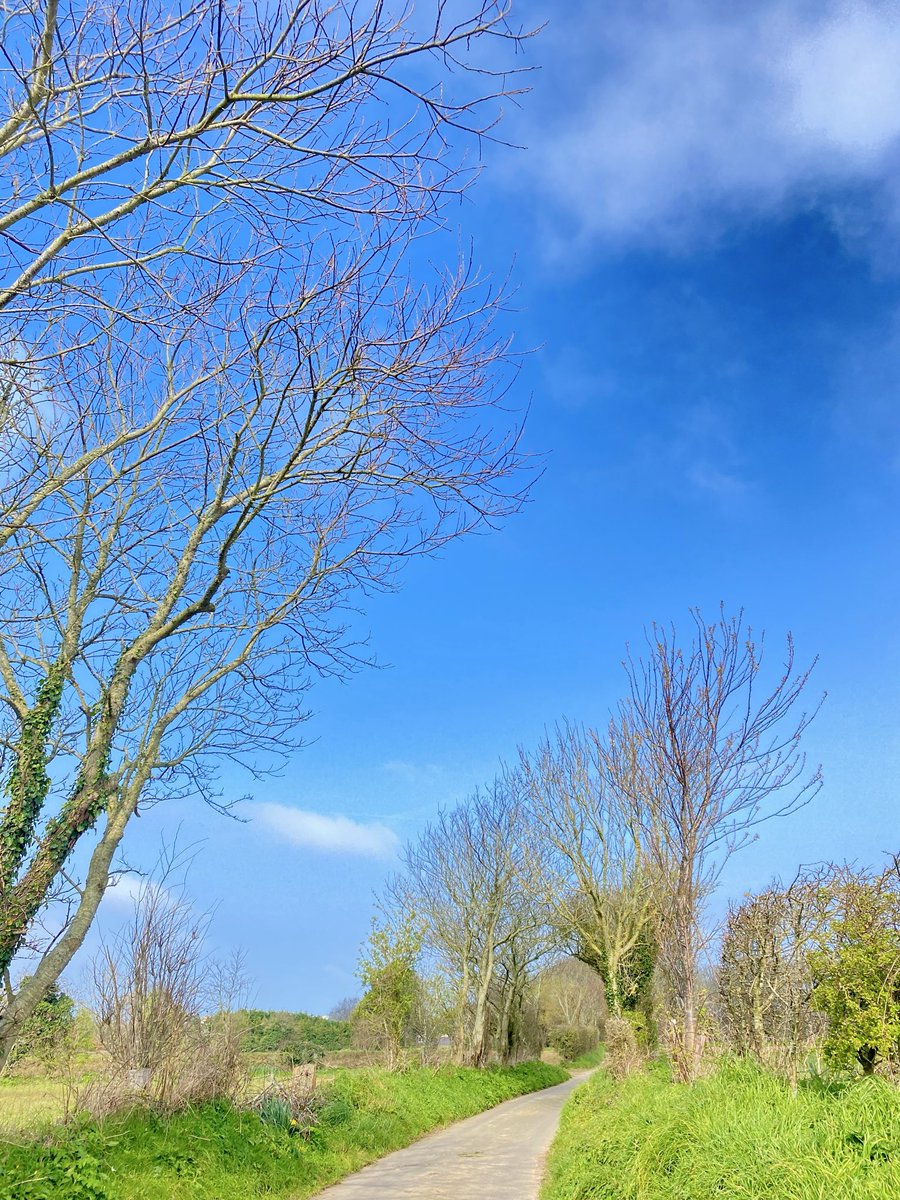 Andrea Le Saint tweet media