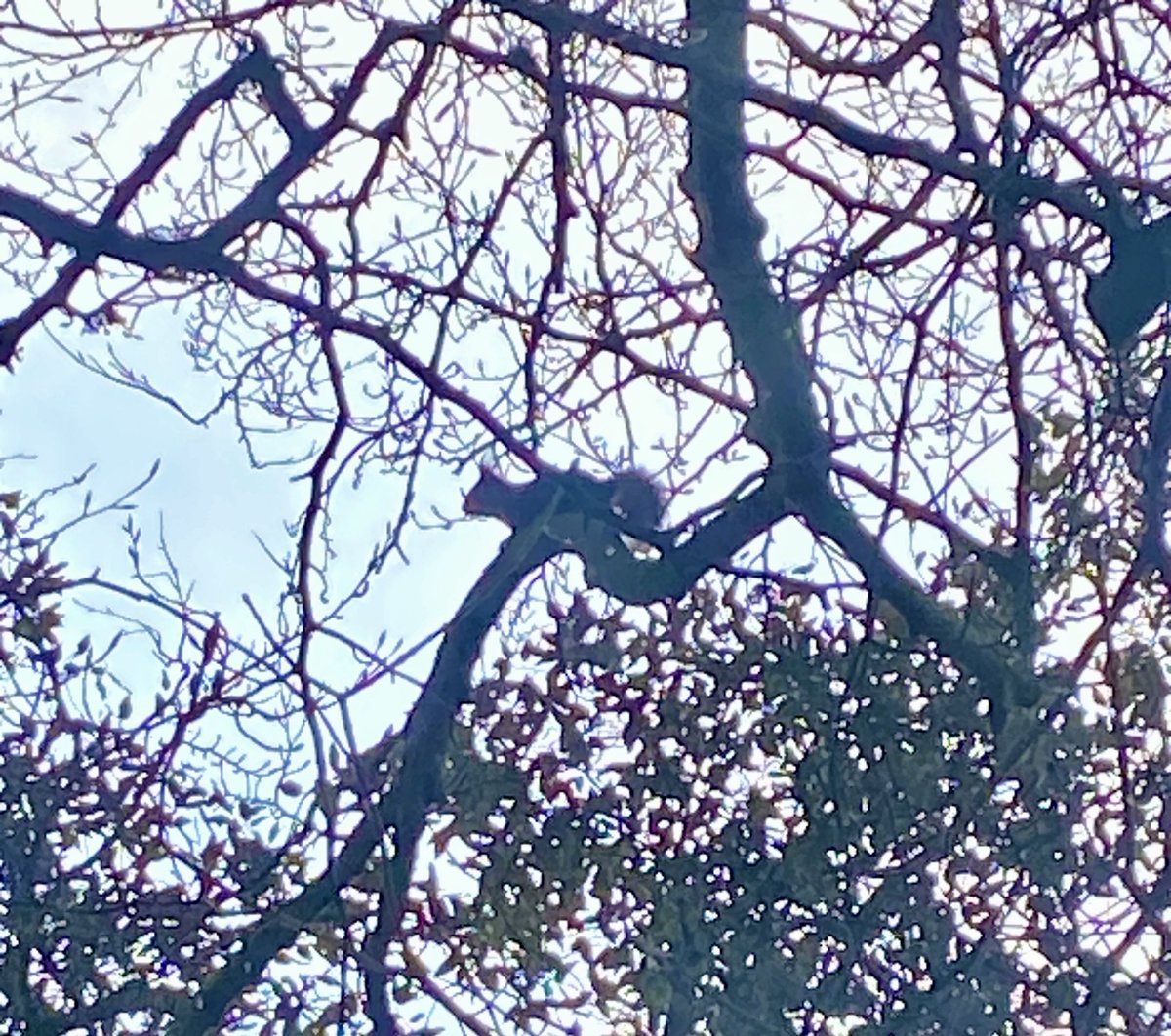 Andrea Le Saint tweet media