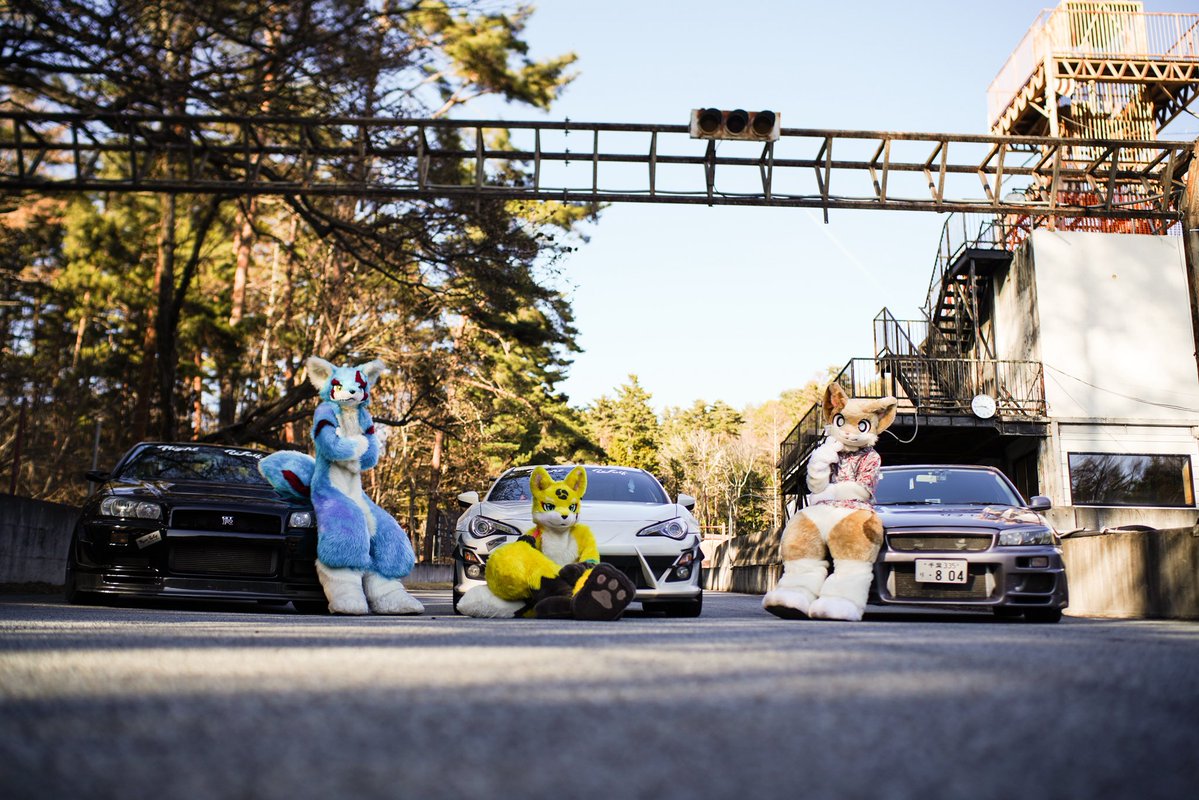 けもりぅ tweet media