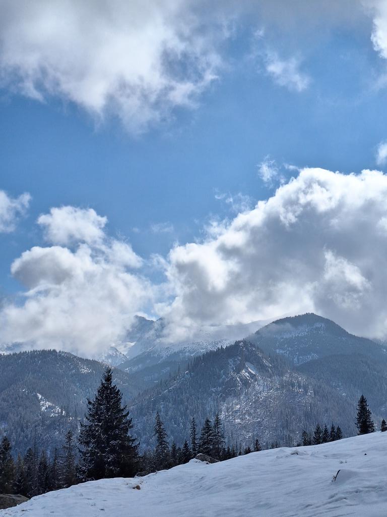 roksa 🐝 tweet media