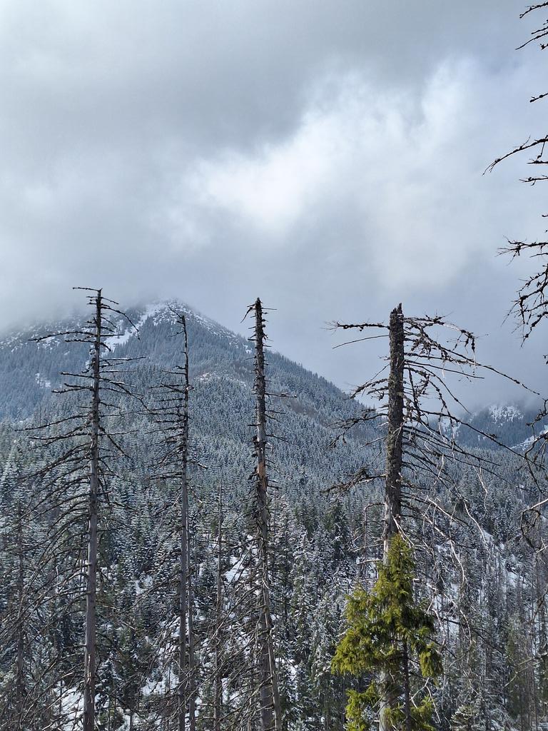 roksa 🐝 tweet media