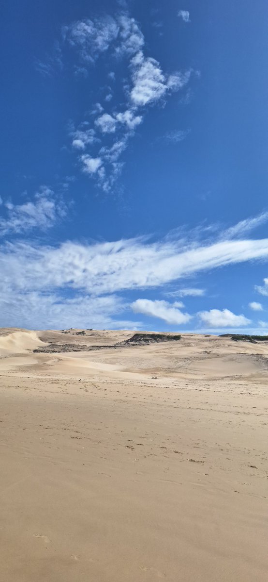 🔰wezo🇿🇦 tweet media