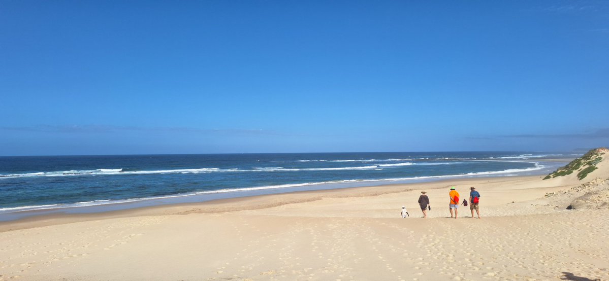 🔰wezo🇿🇦 tweet media