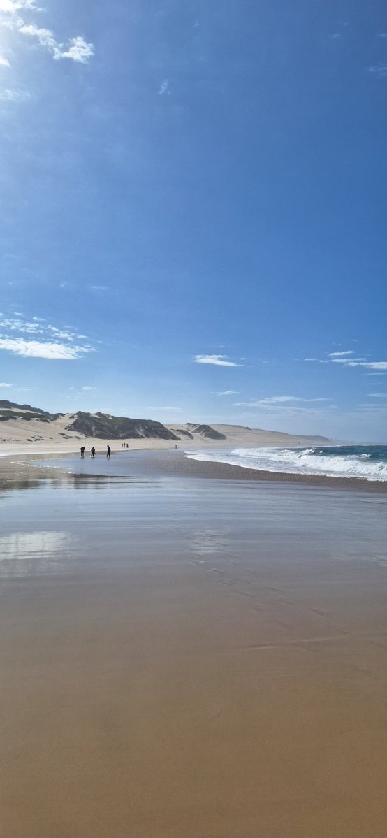 🔰wezo🇿🇦 tweet media