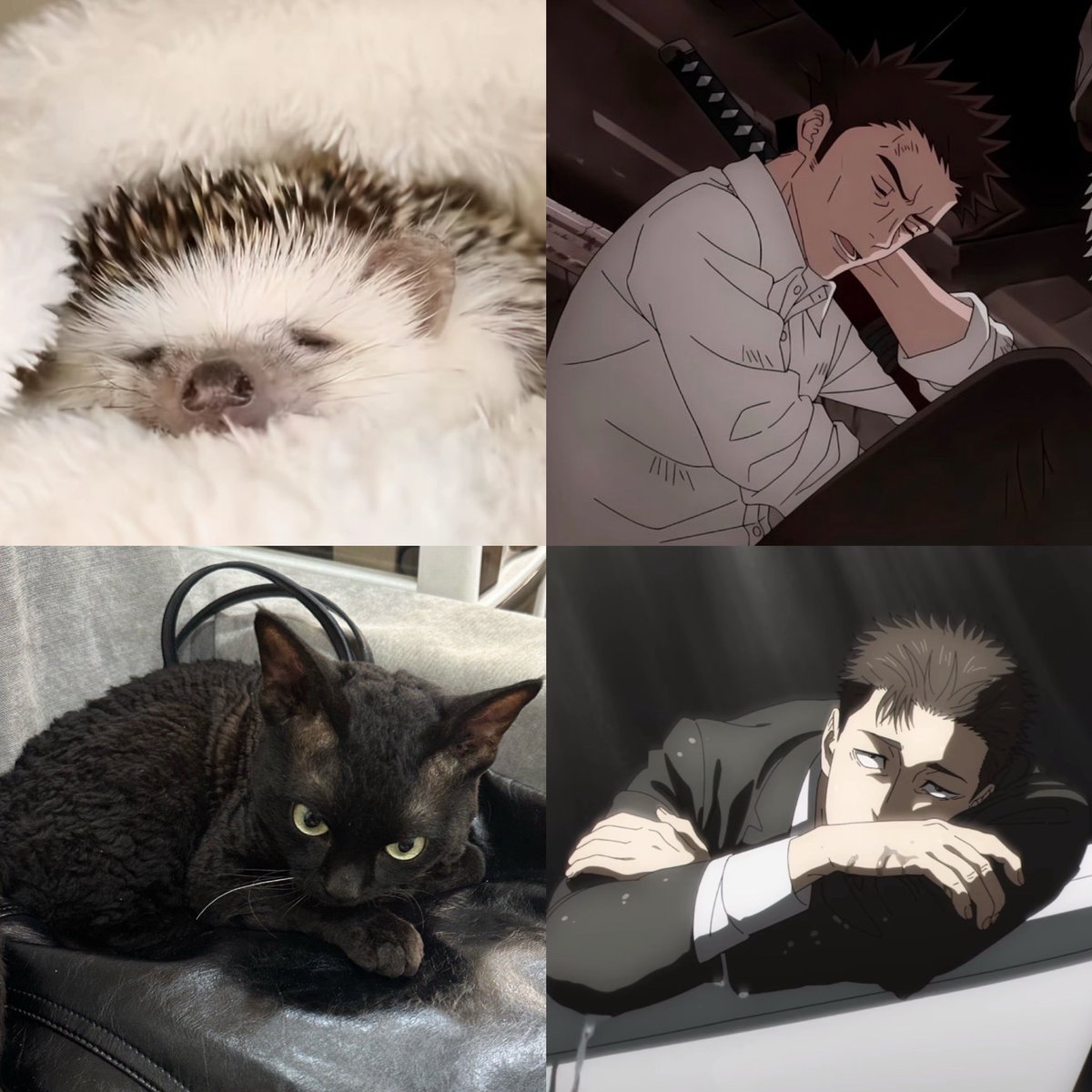 1433223787878 tweet media