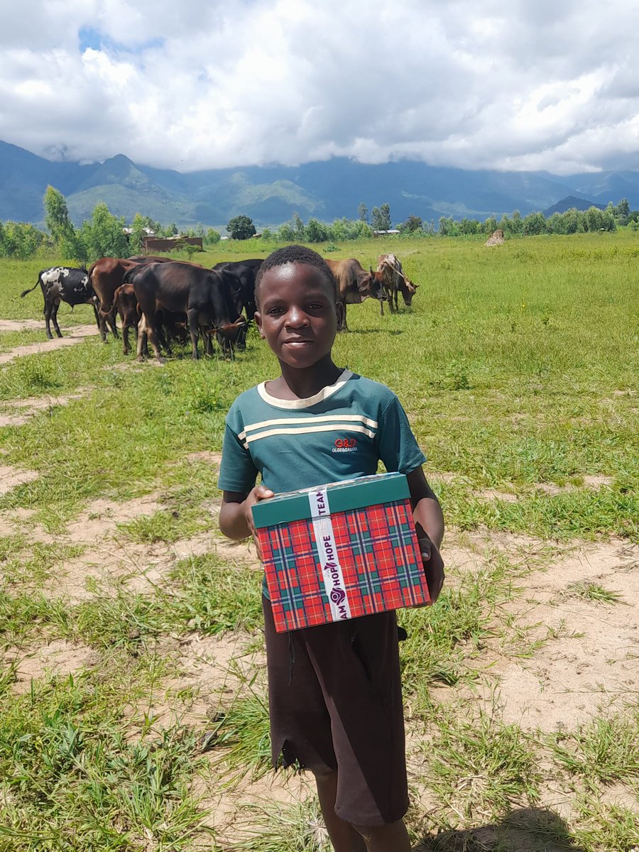 Team Hope Ireland tweet media