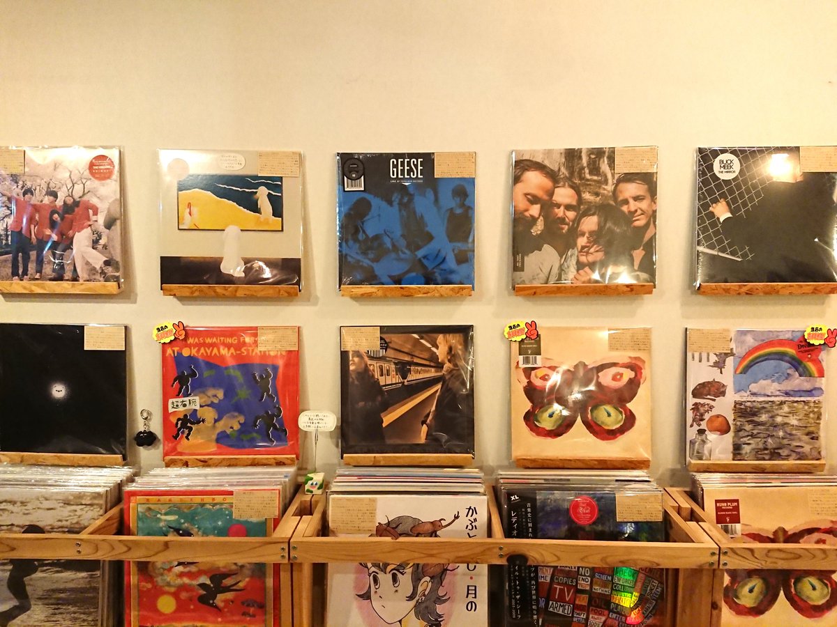 ﾕｷﾋﾛ・ｵｰﾀﾆ tweet media