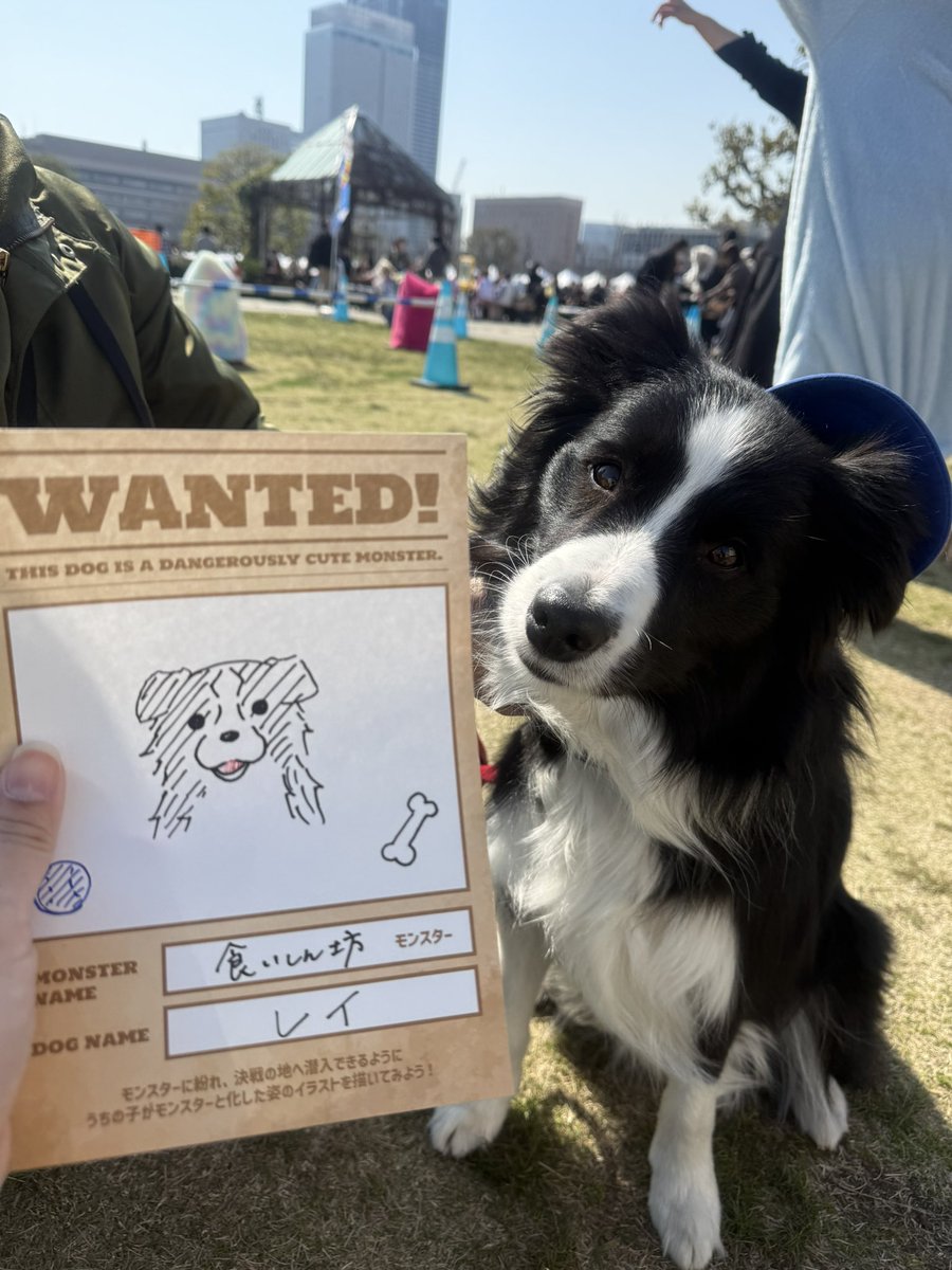 border_rei's tweet photo. 赤レンガ倉庫のわんさんぽ行ってきた！🐶 https://t.co/5uOhiwRarJ