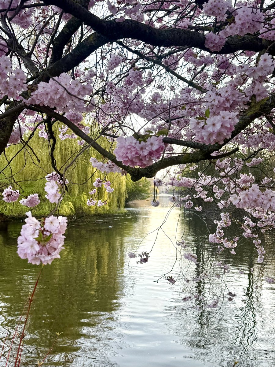 James Montgomery tweet media