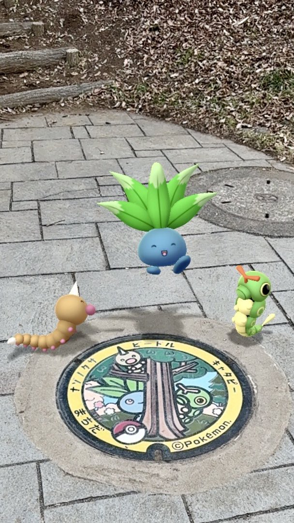 トボ(@toboinsta出張所) tweet media