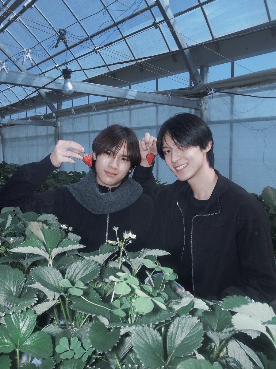 WabiNoni tweet media