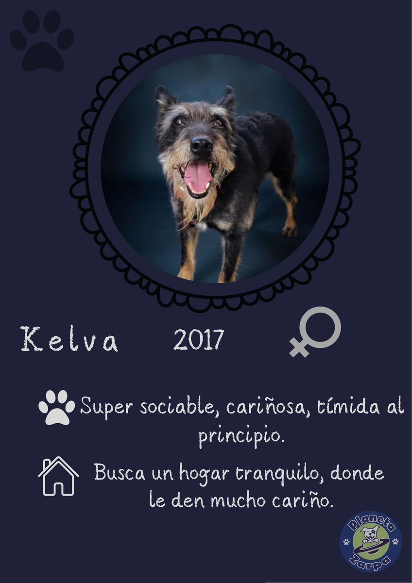 ᑭᏞᗩᑎᗴᎢᗩ Ꮓᗩᖇᑭᗩ tweet media