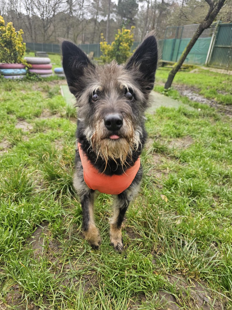 ᑭᏞᗩᑎᗴᎢᗩ Ꮓᗩᖇᑭᗩ tweet media