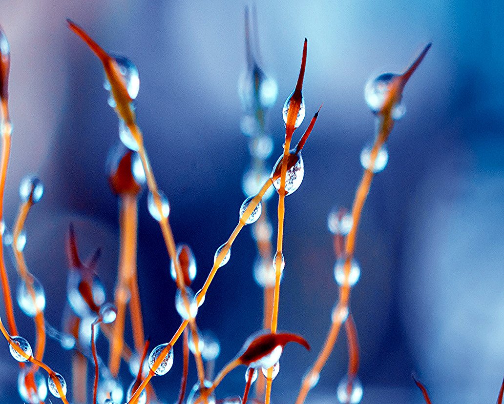 Angel Boluda, renascut de les cendres tweet media