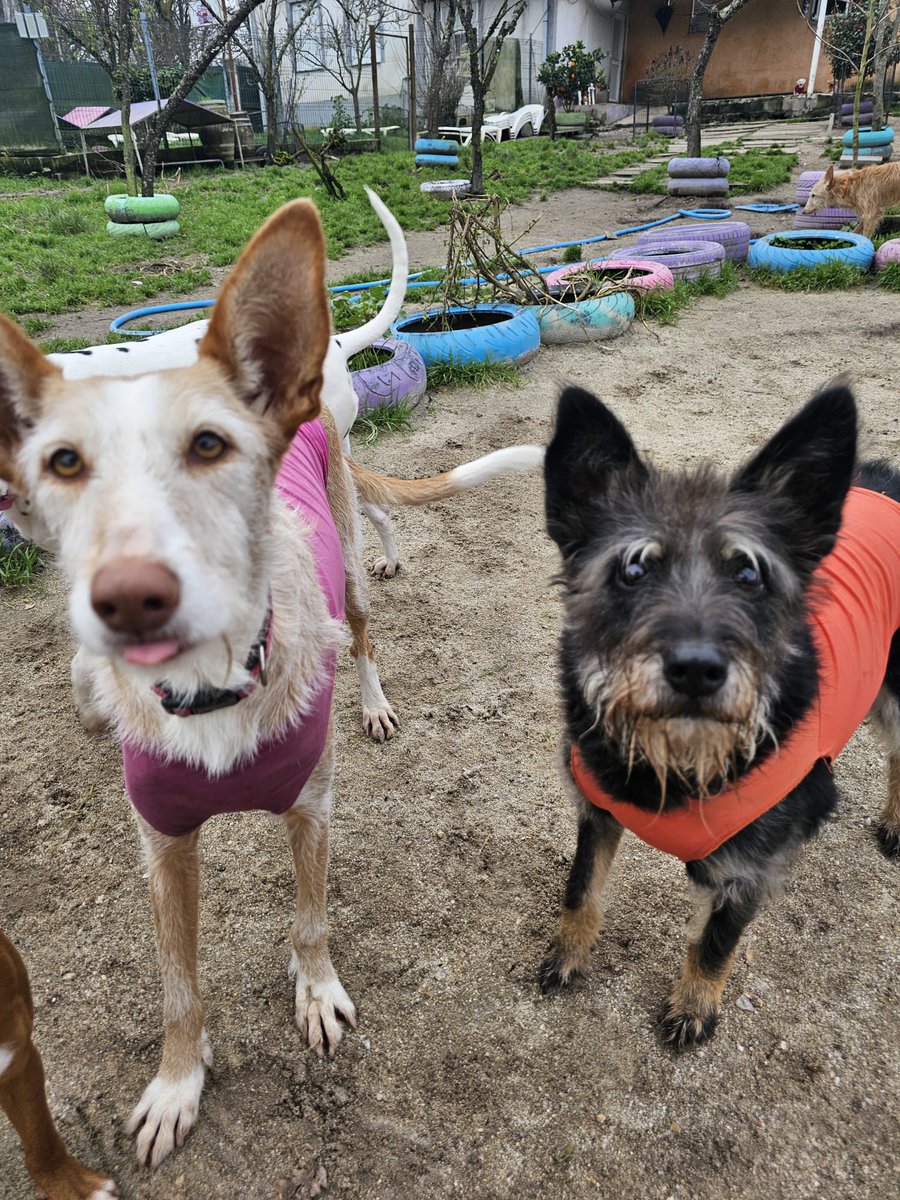 ᑭᏞᗩᑎᗴᎢᗩ Ꮓᗩᖇᑭᗩ tweet media