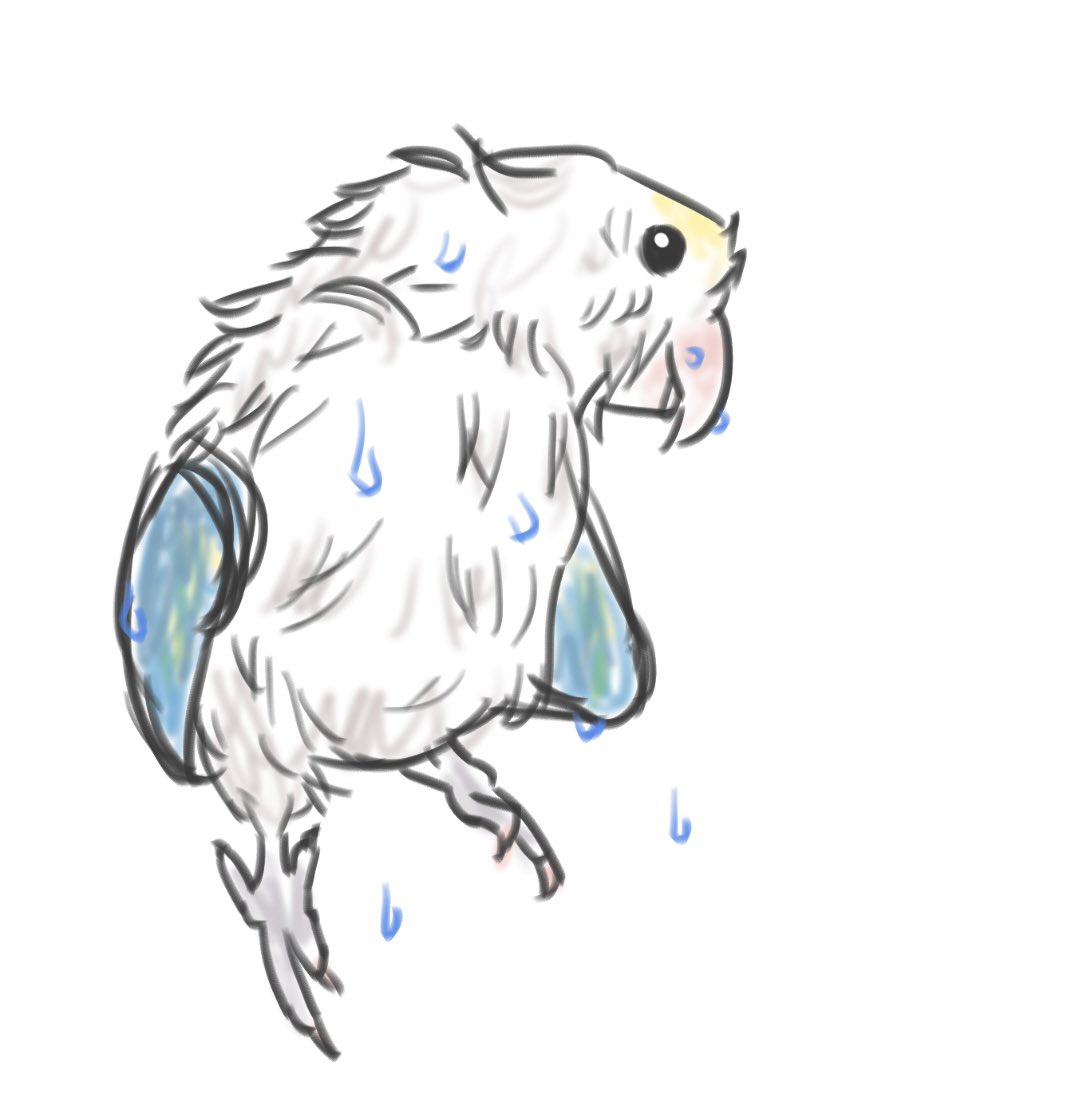 瀬戸玲@『推しの妹～』コミカライズ単行本②巻発売🌹 tweet media