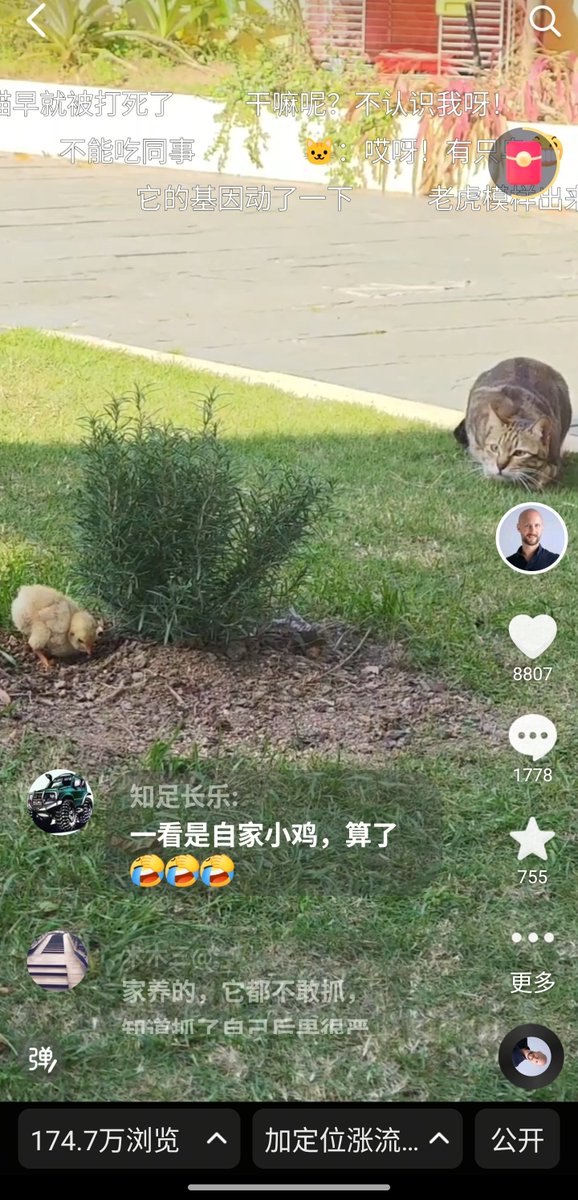 Laurent Le Pen tweet media