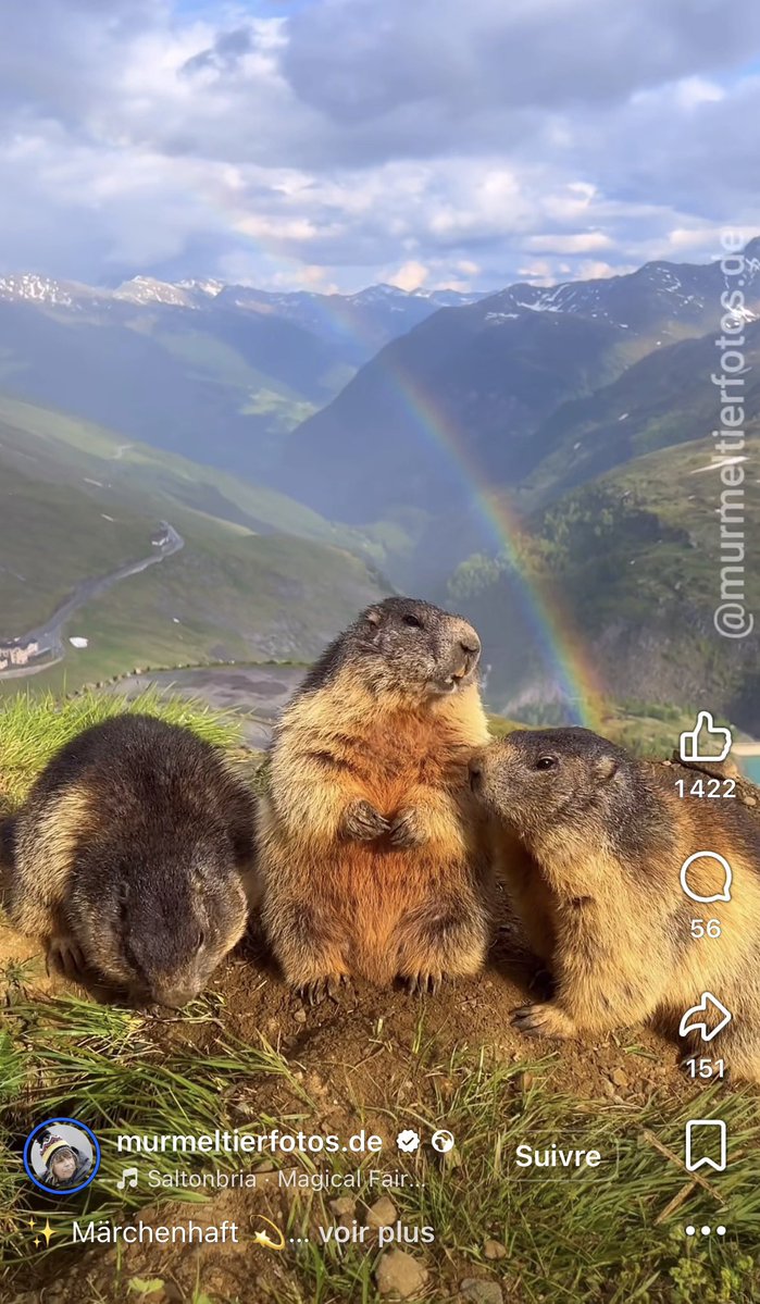 RΞΛL #TurbulencesFastenYourSeatBelts tweet media