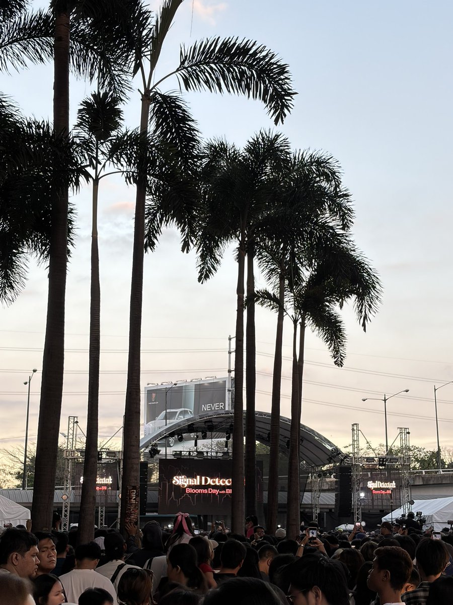 pantropikrissy 🌴 tweet media