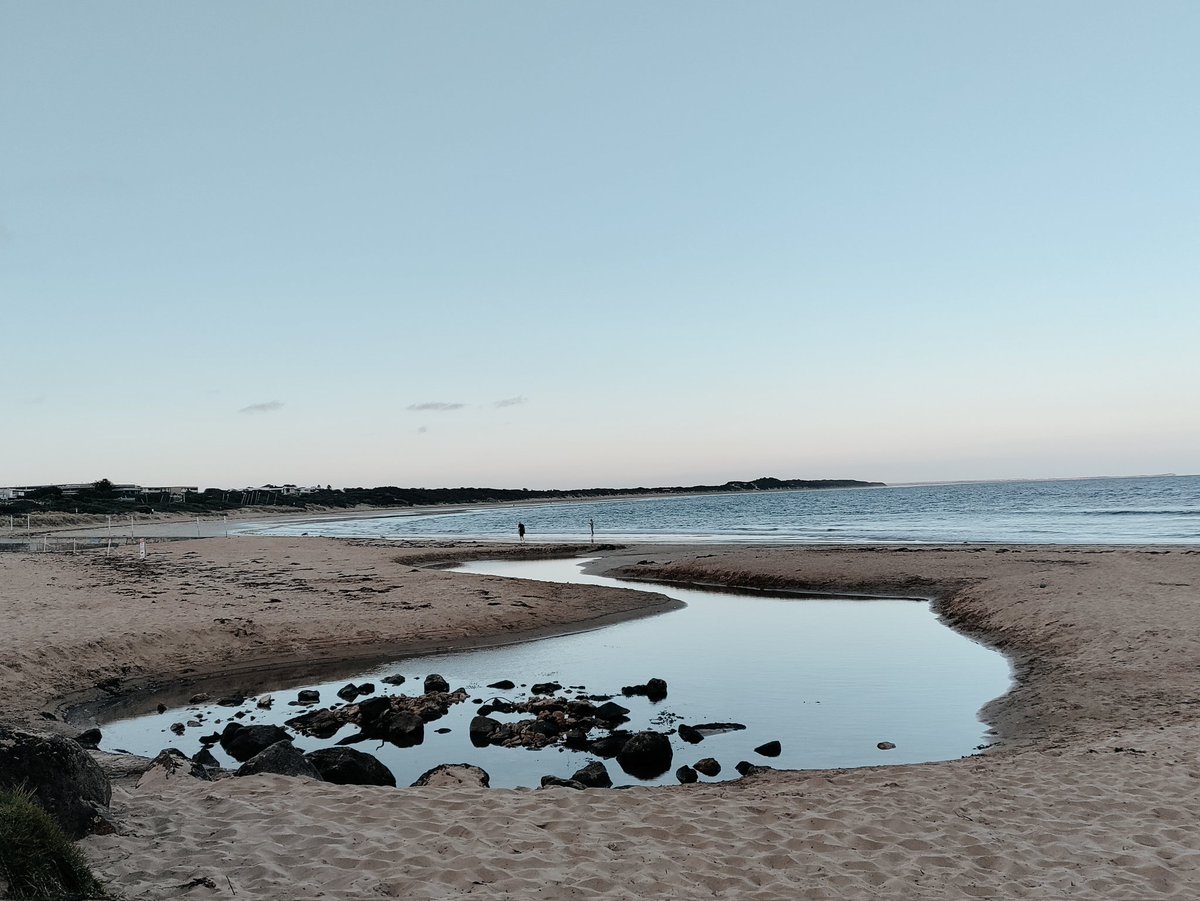 Christopher Chong tweet media