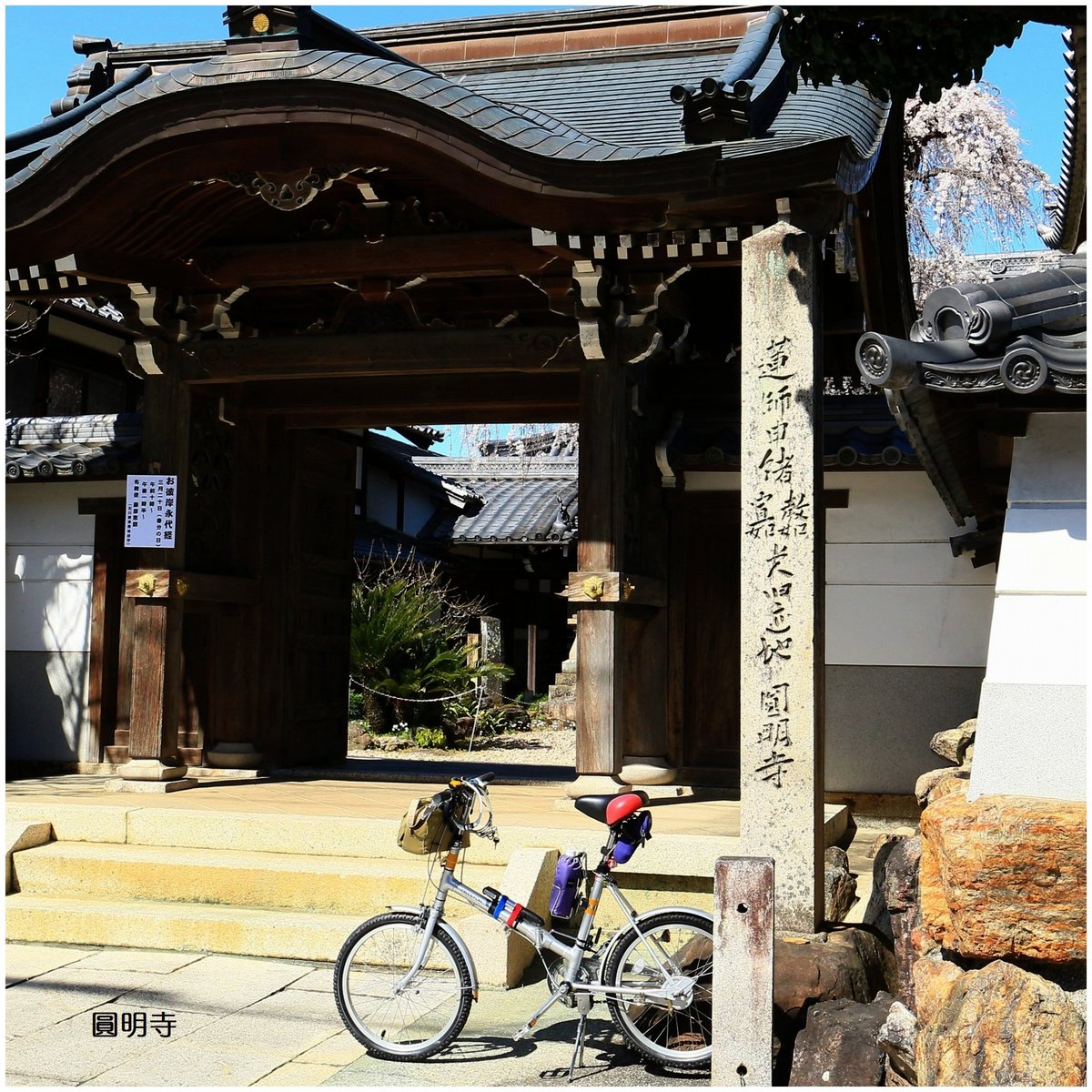 Y_599 ( JA2UIS) tweet media