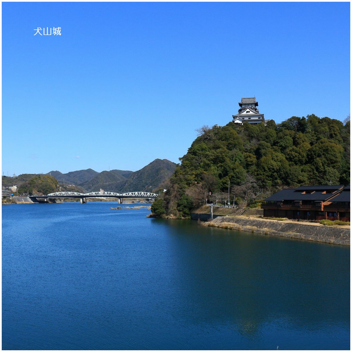 Y_599 ( JA2UIS) tweet media