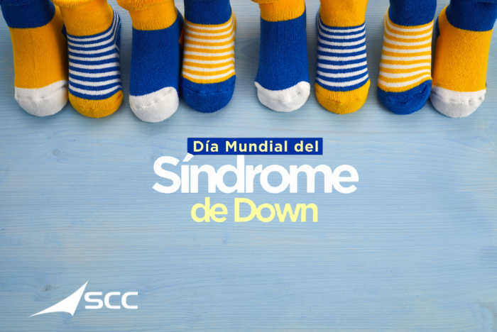 SCC Spain tweet media