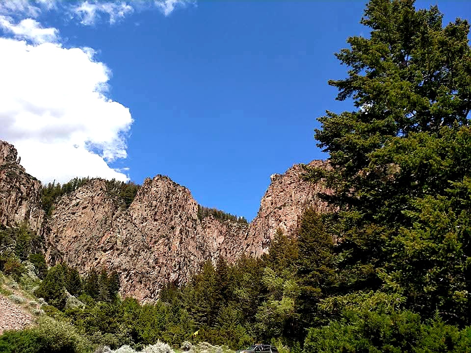 Prarie Patriot tweet media