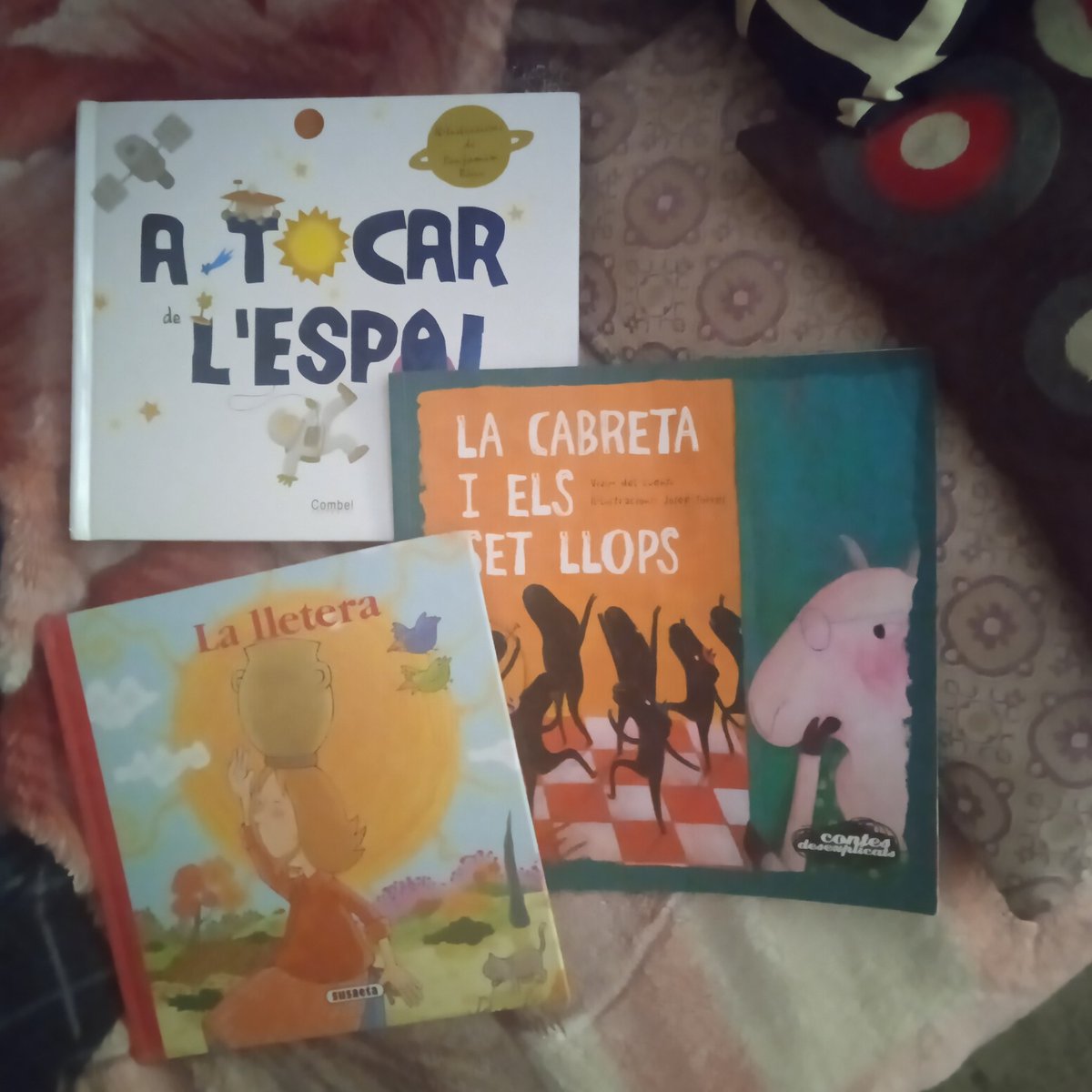 Espardenya De Capvespre tweet media