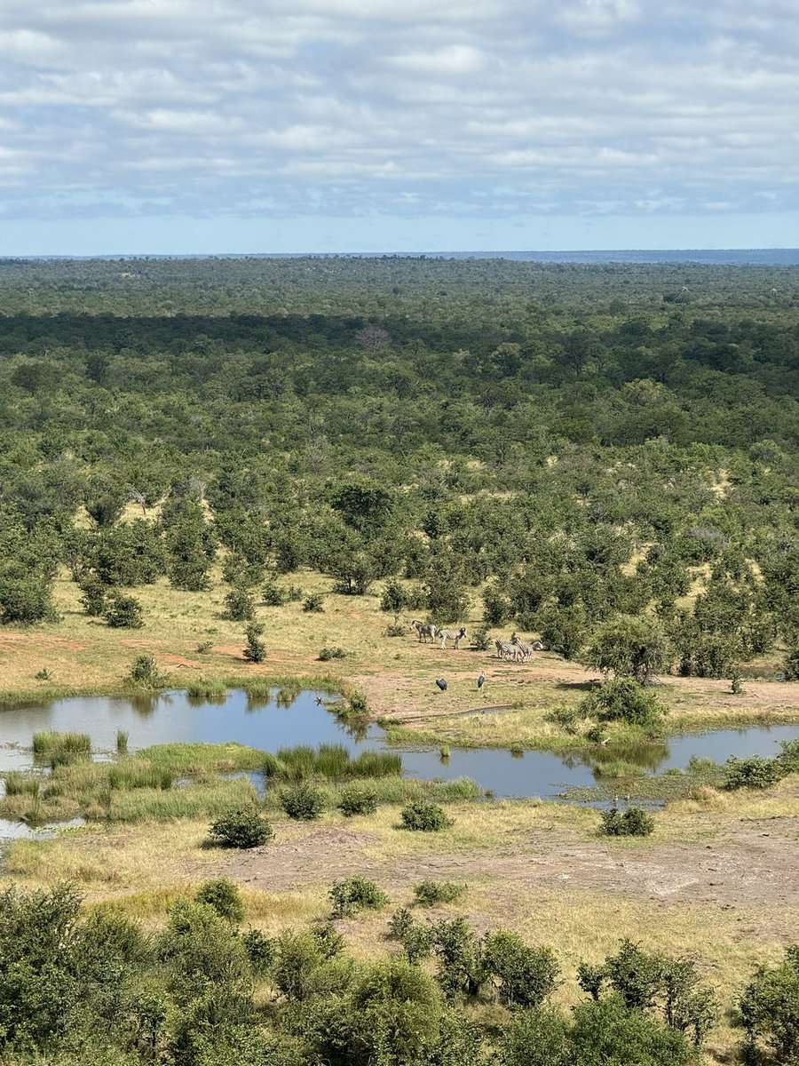 Victoria Falls Safari Lodge 🇿🇼