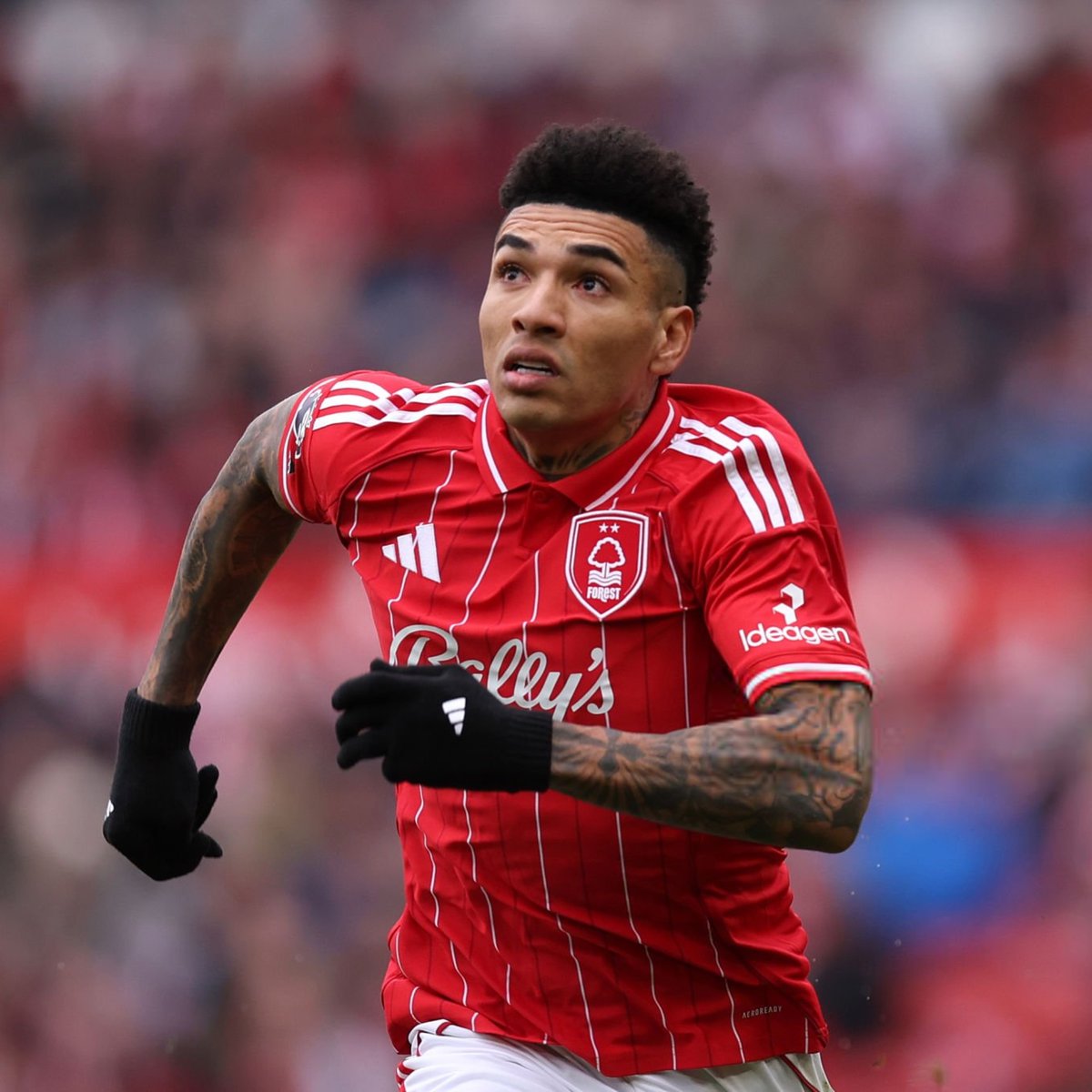 Actu Ligue 1 tweet media