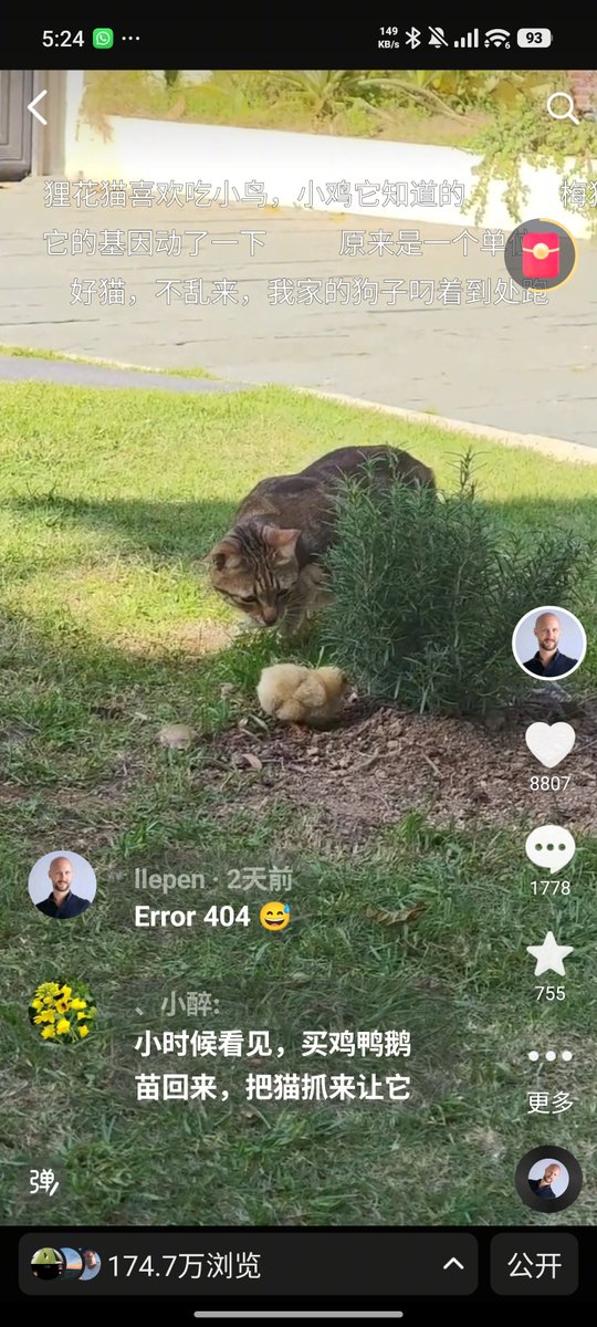 Laurent Le Pen tweet media